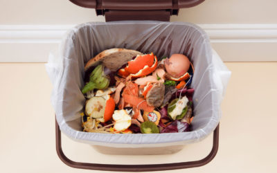 Bruselas quiere obligarnos a que nos comamos el 30% de la ‘comida’ que tiramos a la basura